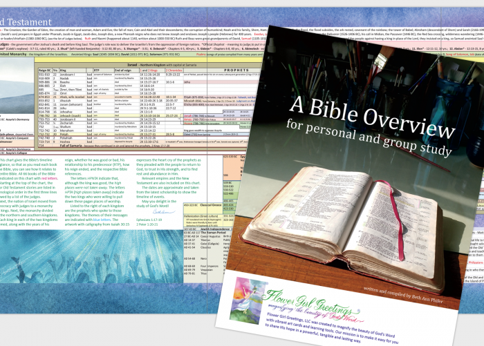 A Bible Overview — for personal and group study  A Bible Overview — for personal and group study