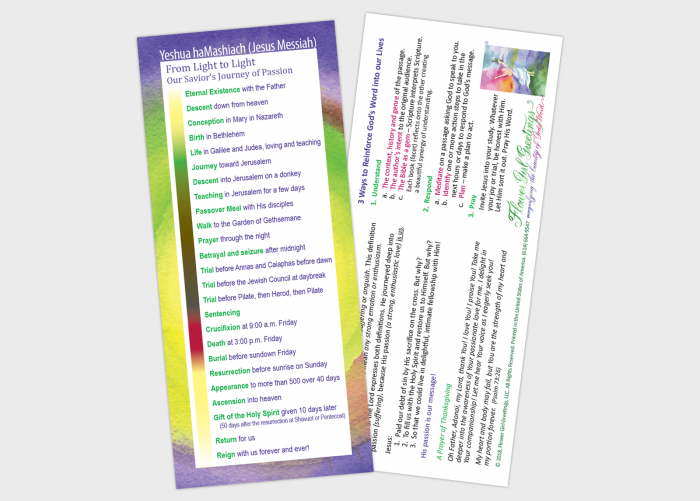 From Light to Light – Our Savior’s Journey of Passion